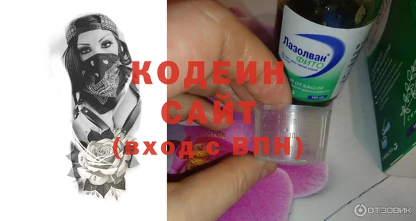 ешки Осинники