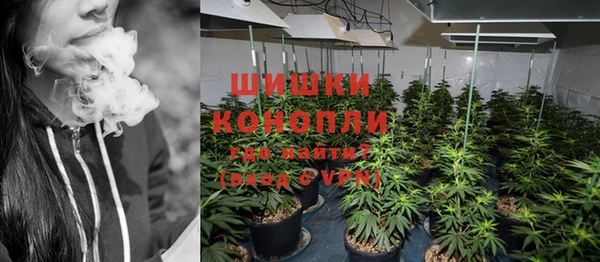 ALPHA PVP Остров