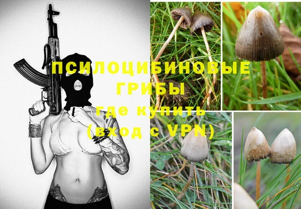 не бодяженный Осташков