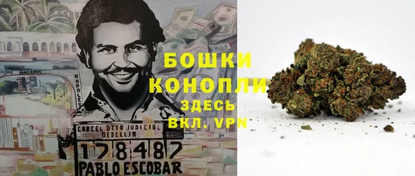 ALPHA PVP Остров