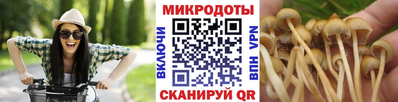 Галлюциногенные грибы Magic Shrooms  где купить наркоту  Морозовск 