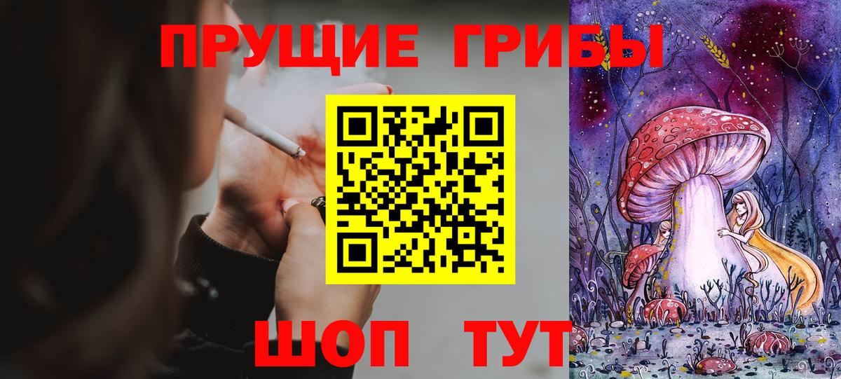 Морозовск  где купить наркоту  Вход с VPN  Псилоцибиновые грибы MAGIC MUSHROOMS 